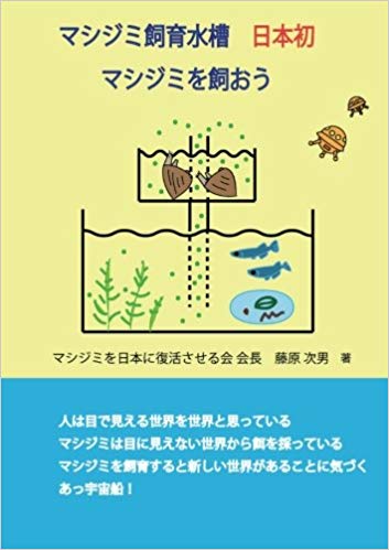 マシジミ飼育水槽 日本初 マシジミを飼おう